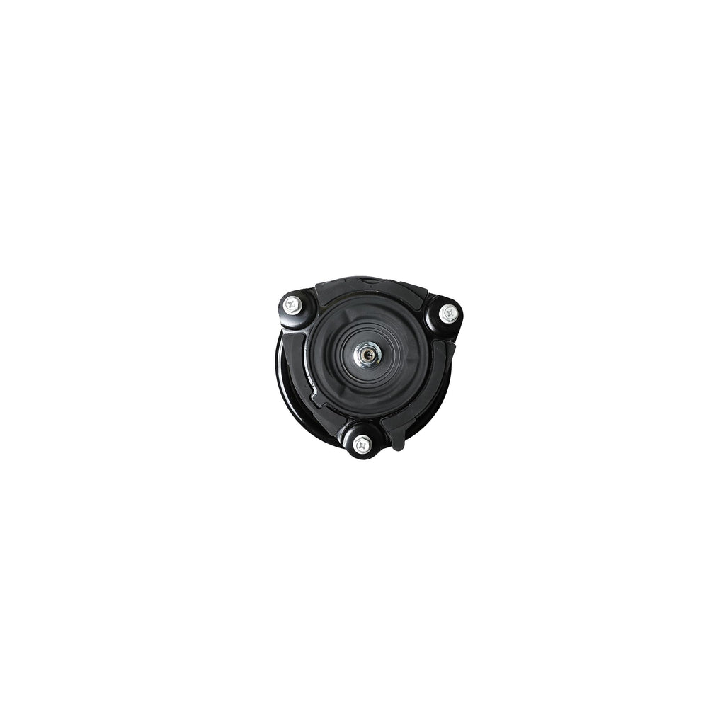 Suspension Strut and Coil Spring Assembly LS54-95361L