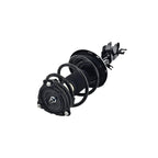 Suspension Strut and Coil Spring Assembly LS54-95361L