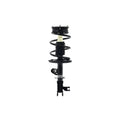 Loaded Strut LS54-95361R