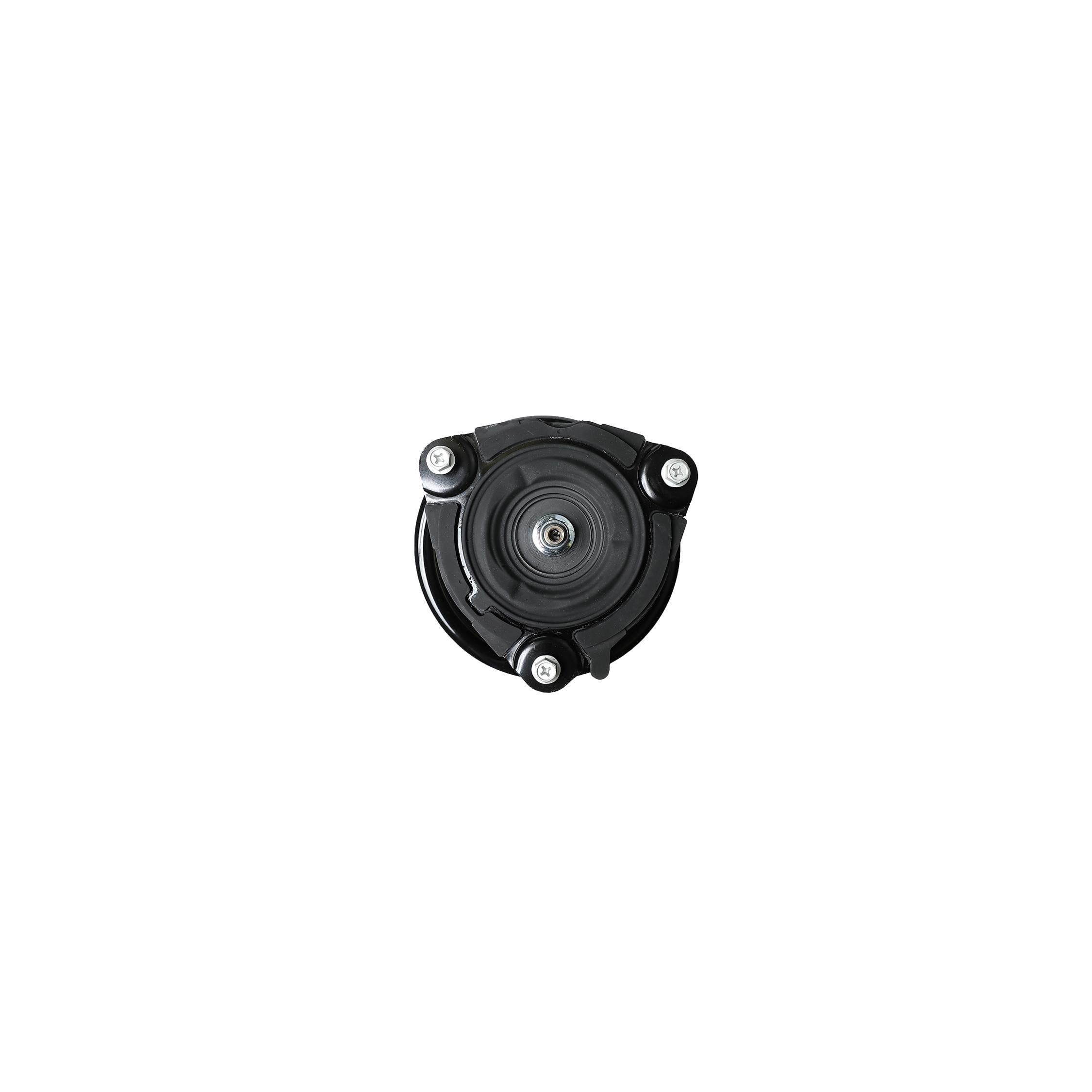 Loaded Strut LS54-95361R