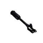Suspension Strut and Coil Spring Assembly LS54-95391R