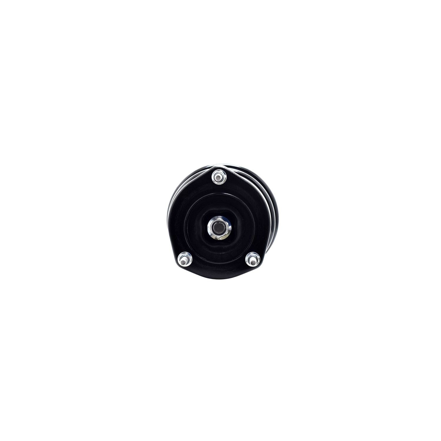 Suspension Strut and Coil Spring Assembly LS54-95412L