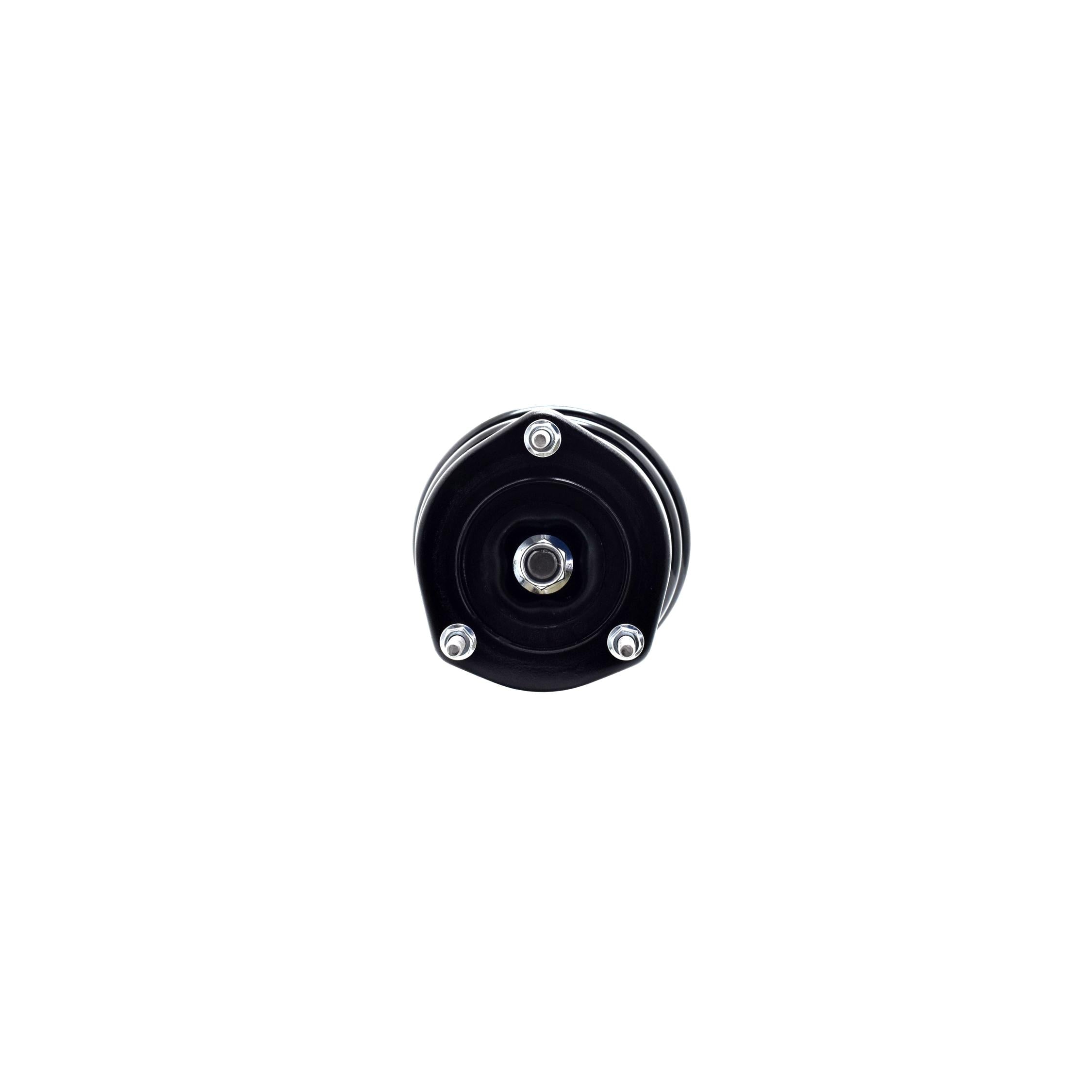 Suspension Strut and Coil Spring Assembly LS54-95412R