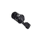 Suspension Strut and Coil Spring Assembly LS54-95421L