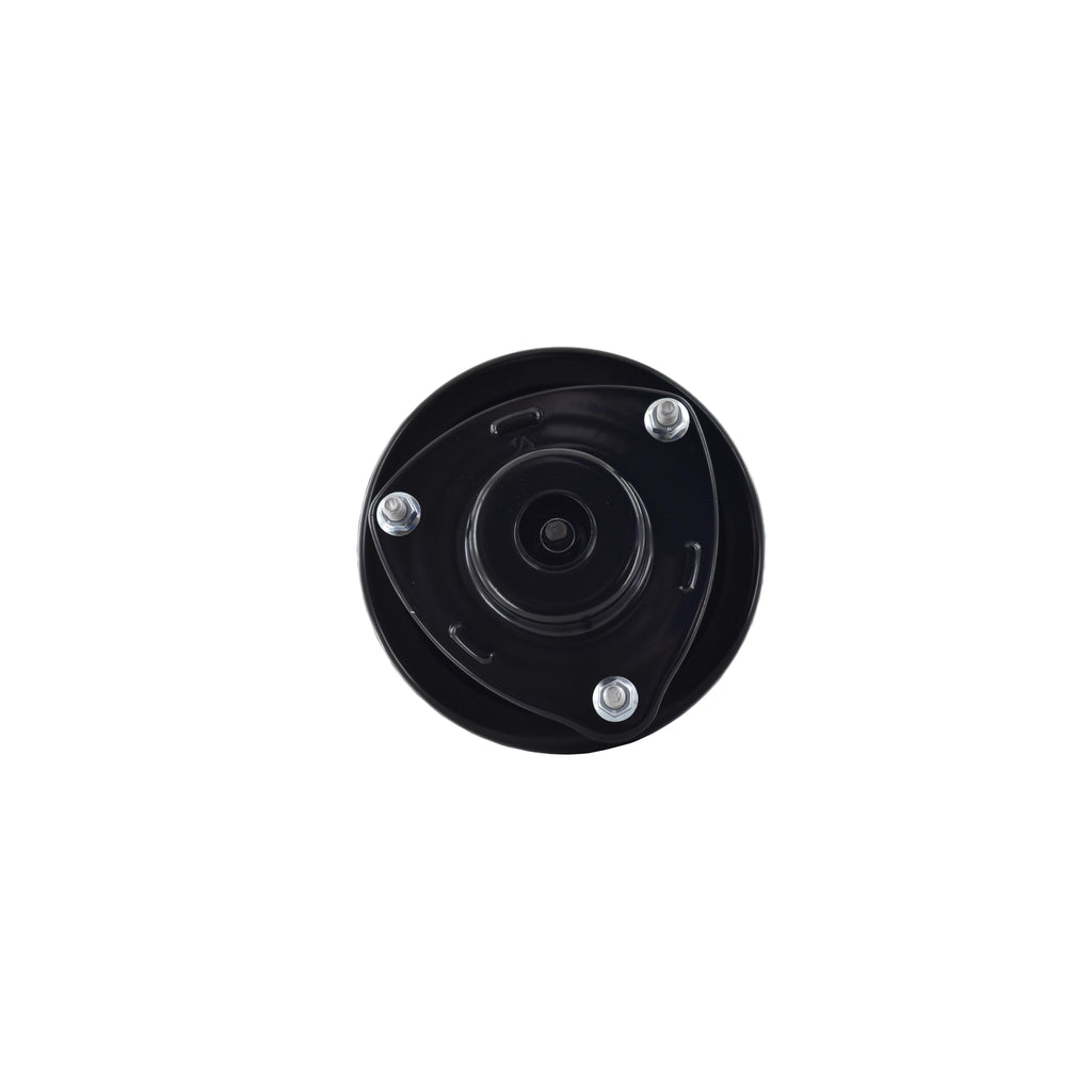 Suspension Strut and Coil Spring Assembly LS54-95421R