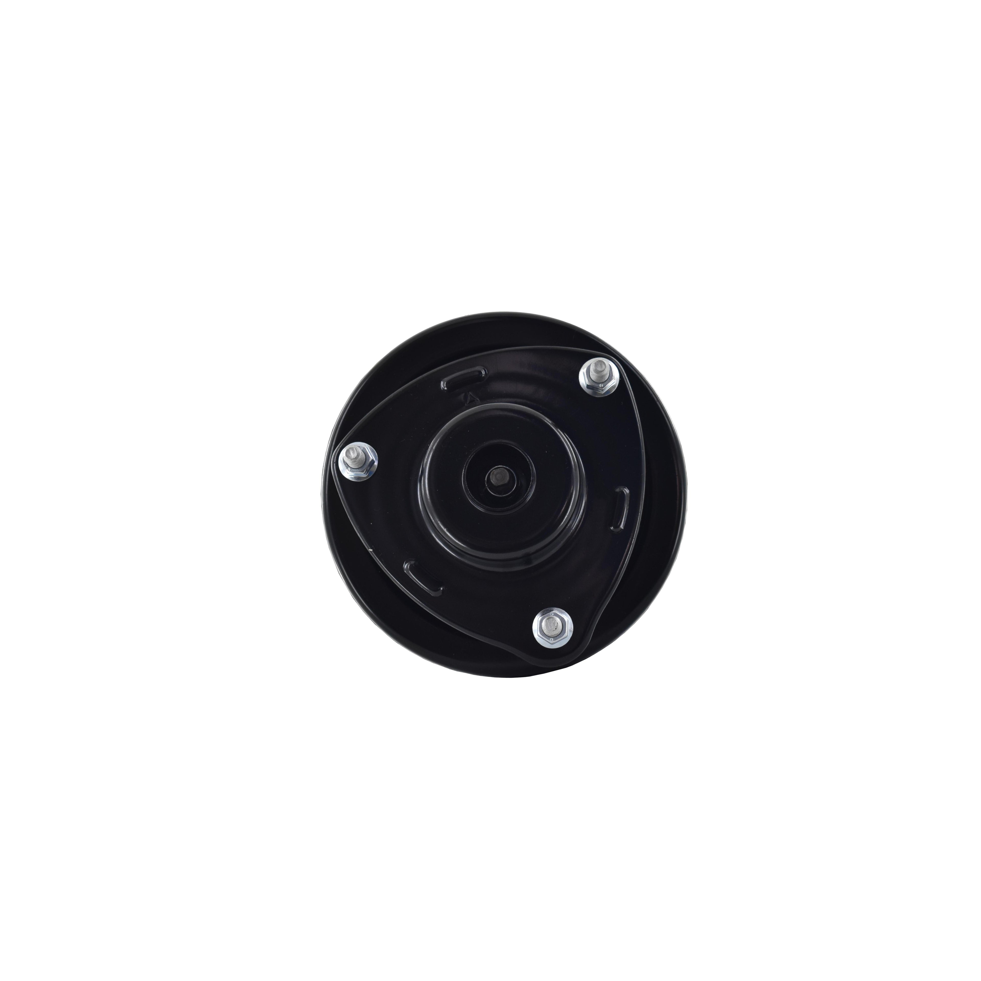Suspension Strut and Coil Spring Assembly LS54-95421R