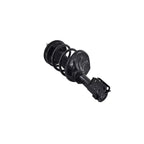 Suspension Strut and Coil Spring Assembly LS54-95421R