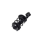 Suspension Strut and Coil Spring Assembly LS54-95421R