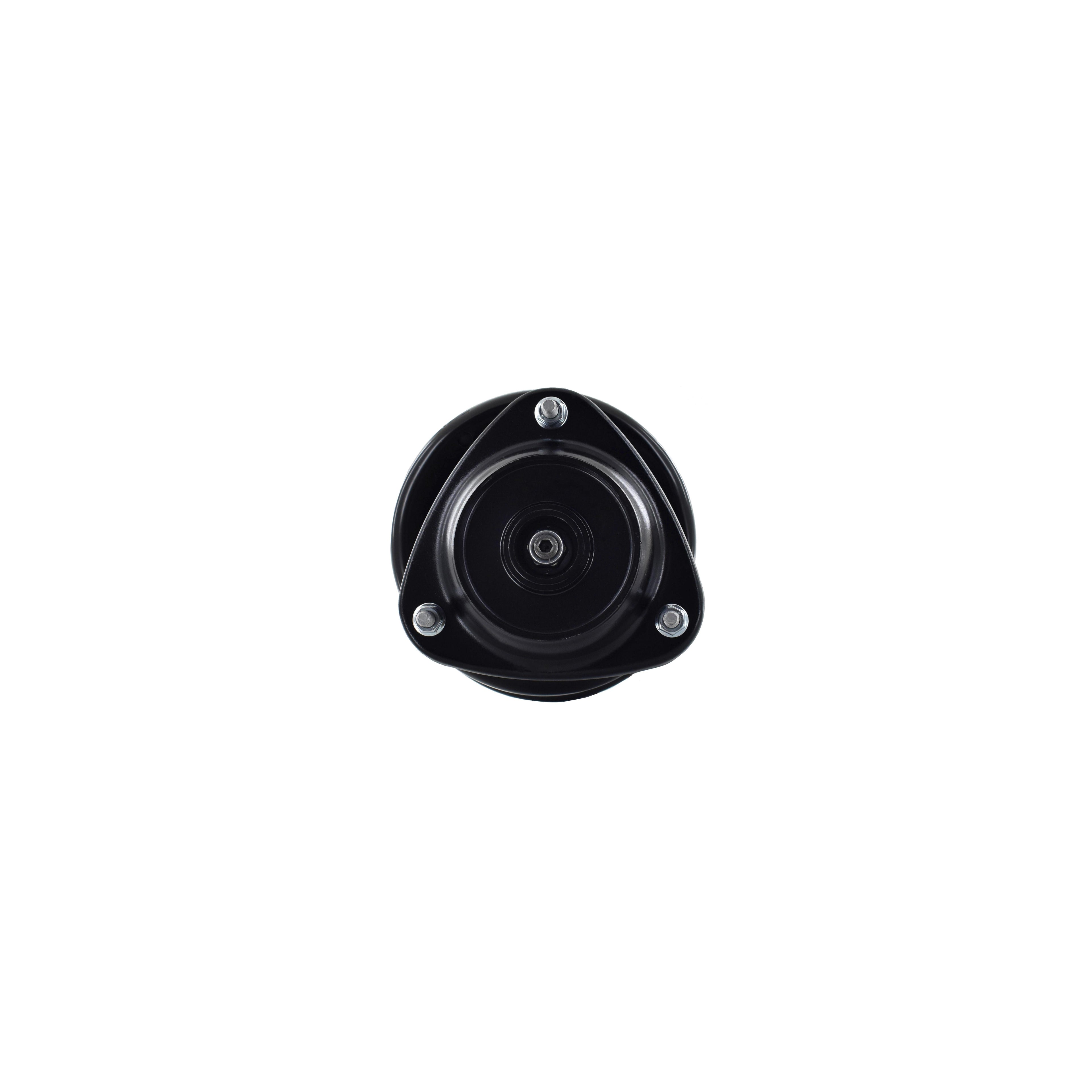 Suspension Strut and Coil Spring Assembly LS54-95441L