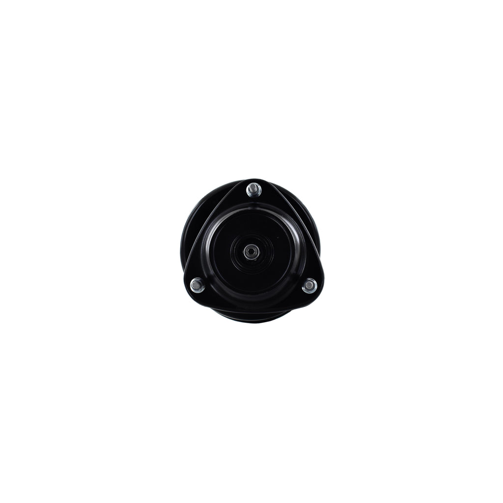 Suspension Strut and Coil Spring Assembly LS54-95441R