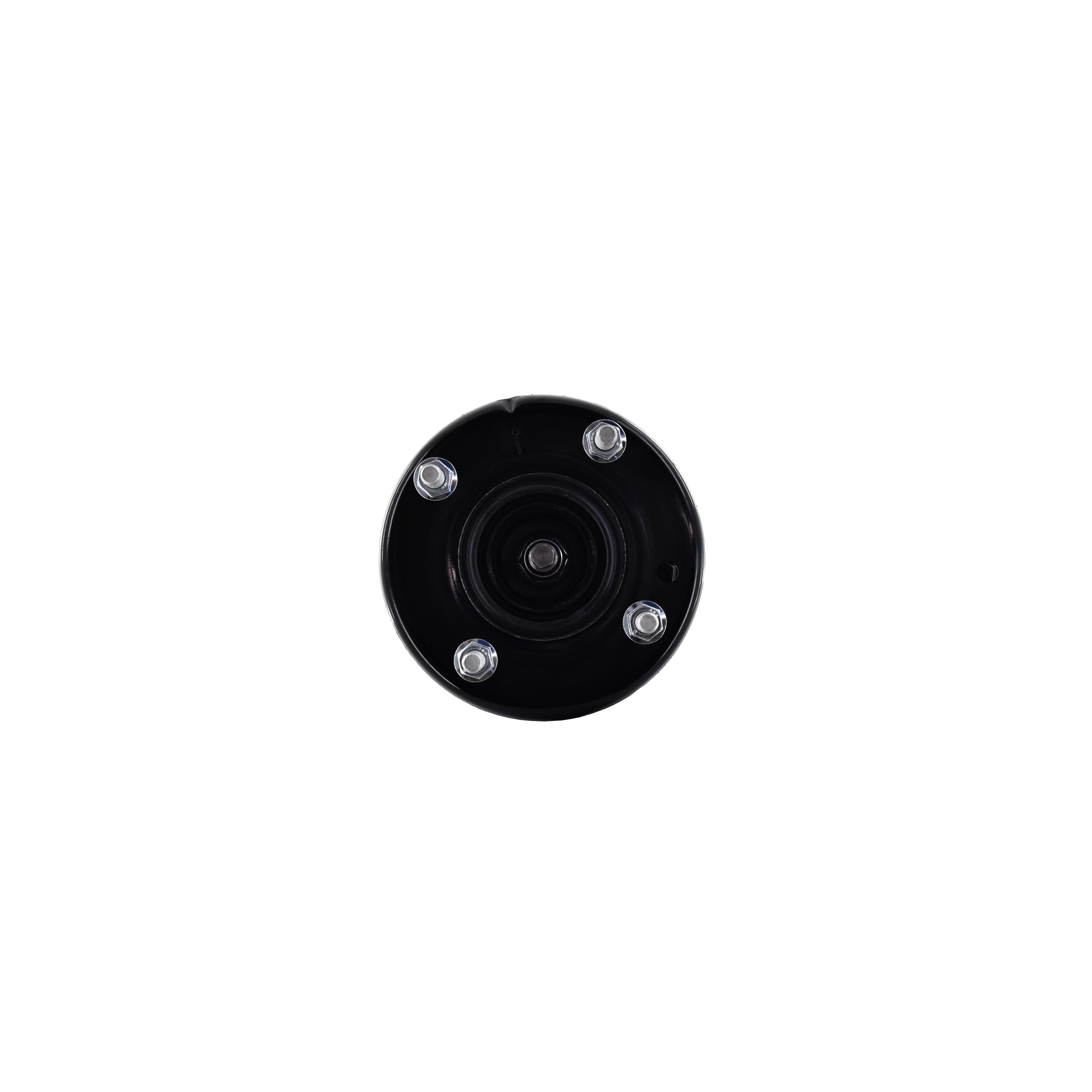 Suspension Strut and Coil Spring Assembly LS54-95461L