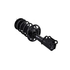 Suspension Strut and Coil Spring Assembly LS54-95461L