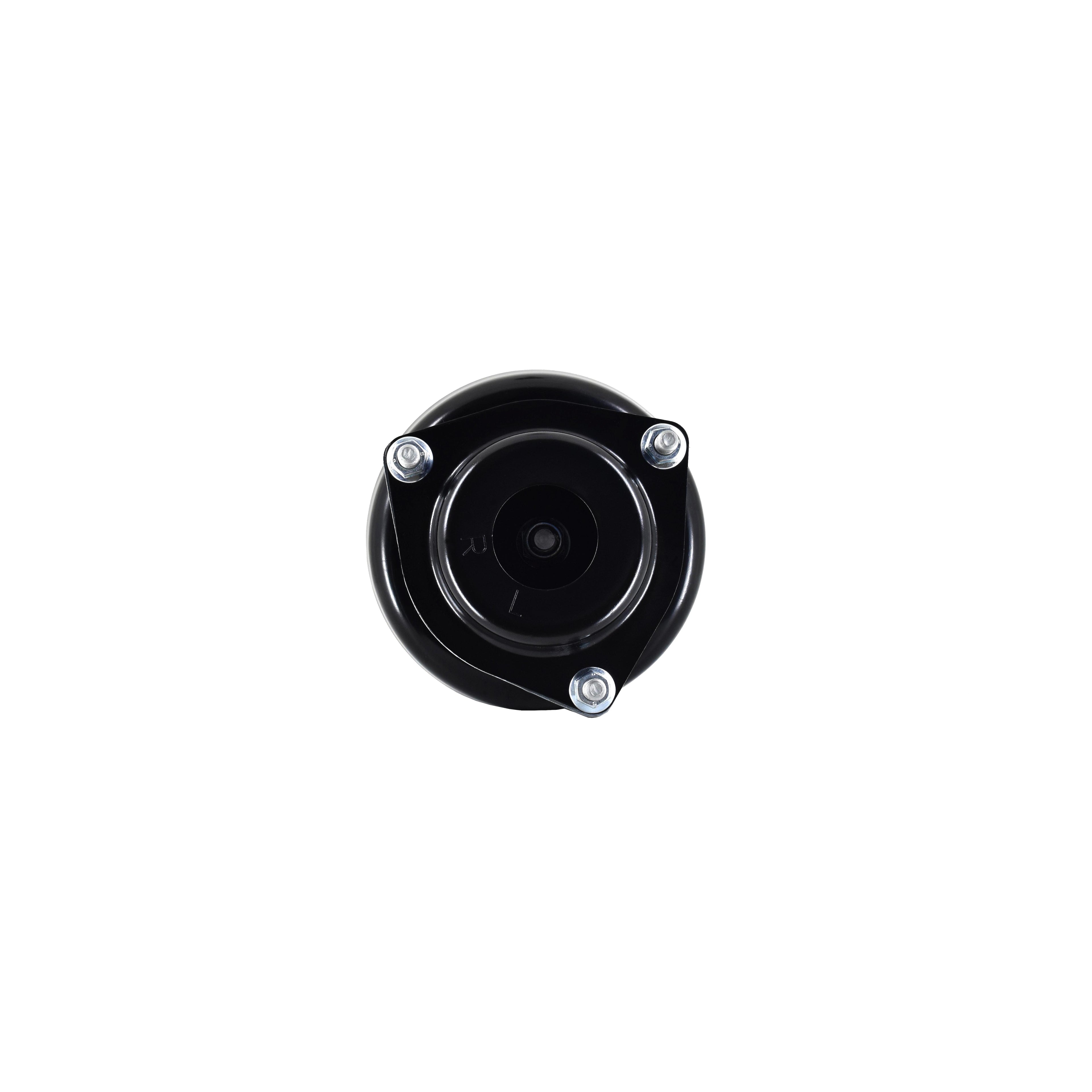 Loaded Strut LS54-95471L