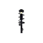 Suspension Strut and Coil Spring Assembly LS54-95541L