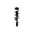 Suspension Strut and Coil Spring Assembly LS54-95541R