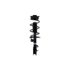 Suspension Strut and Coil Spring Assembly LS54-95541R