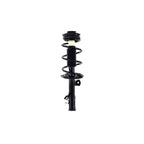 Suspension Strut and Coil Spring Assembly LS54-95541R