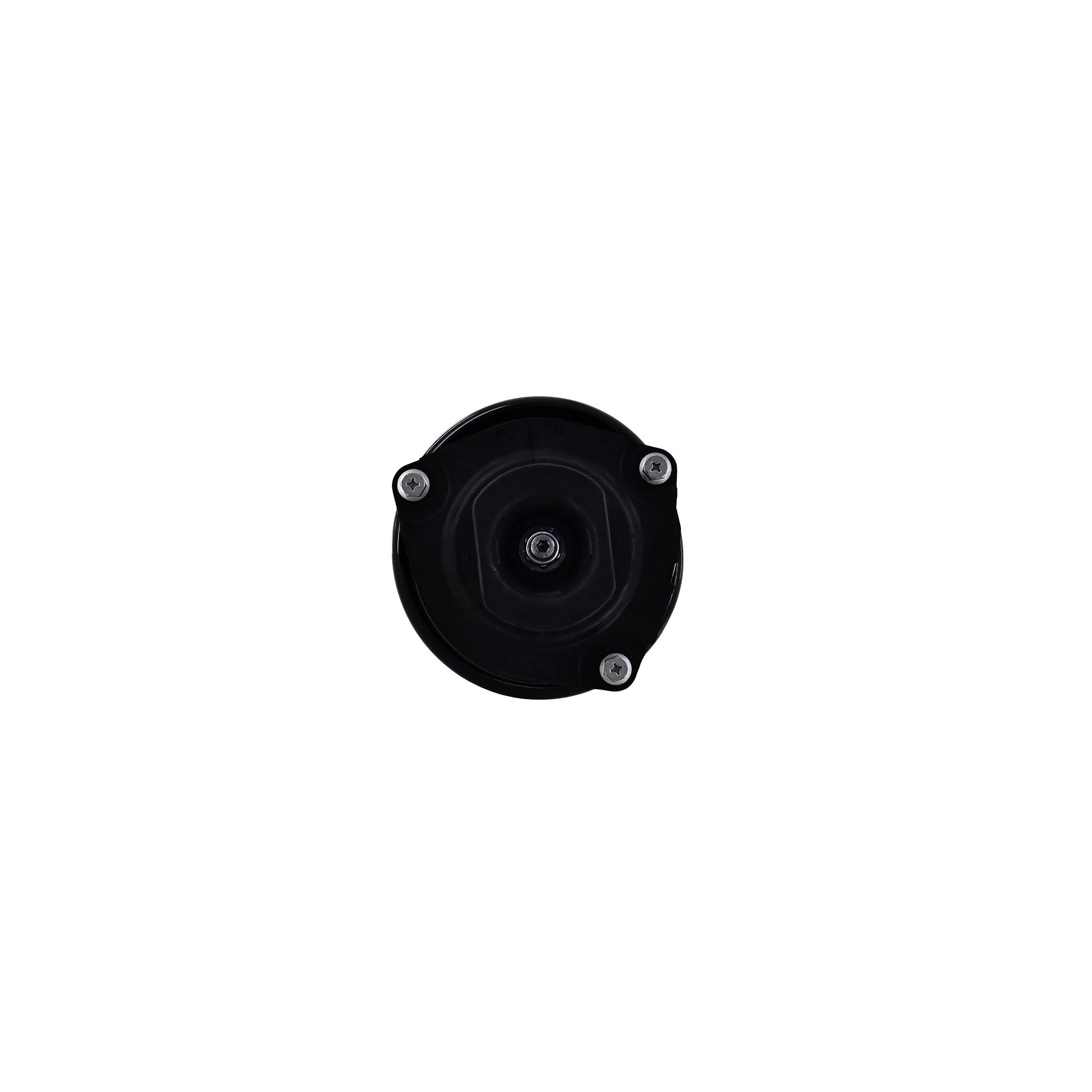 Suspension Strut and Coil Spring Assembly LS54-95541R
