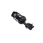 Suspension Strut and Coil Spring Assembly LS54-95541R