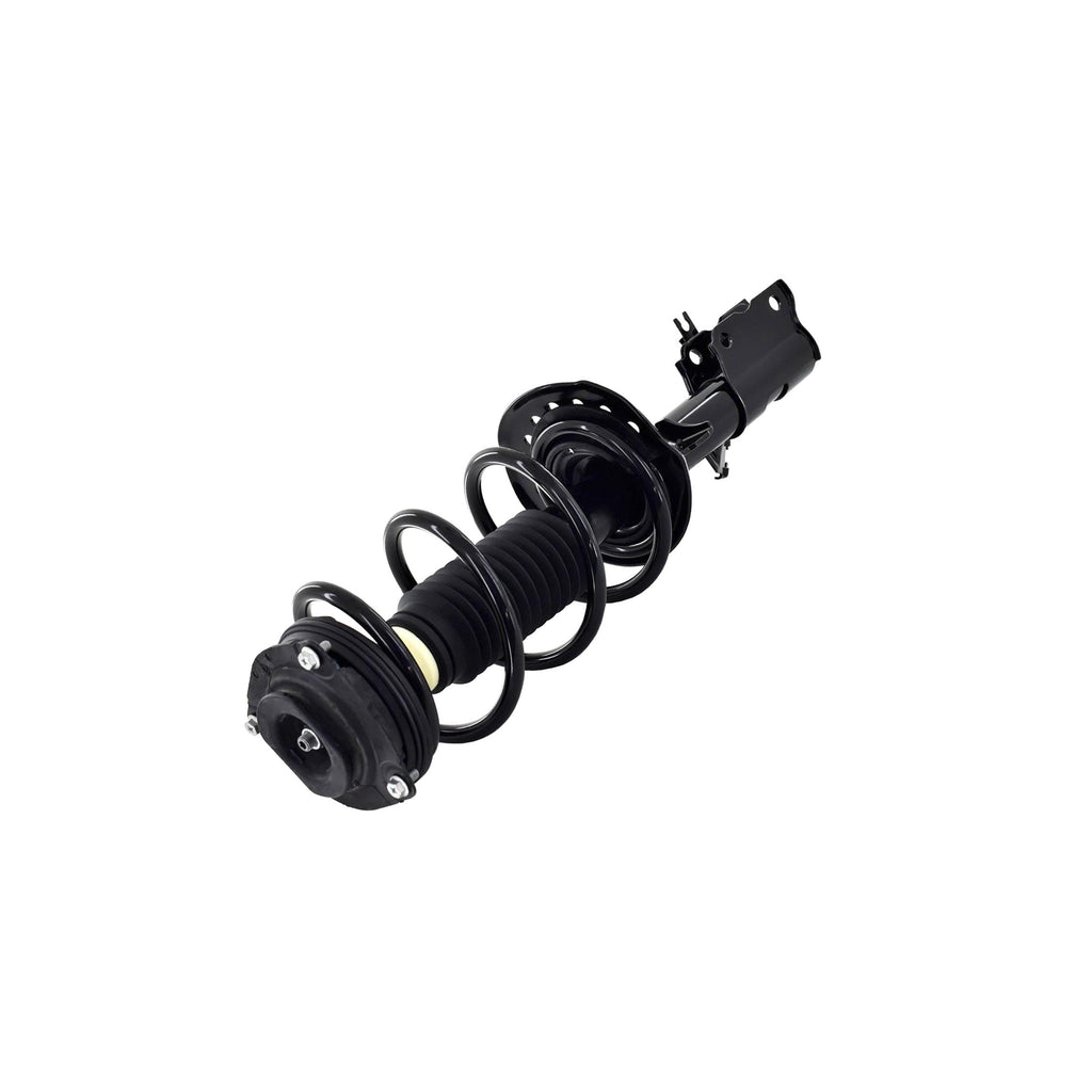Suspension Strut and Coil Spring Assembly LS54-95541R
