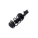 Suspension Strut and Coil Spring Assembly LS54-95541R