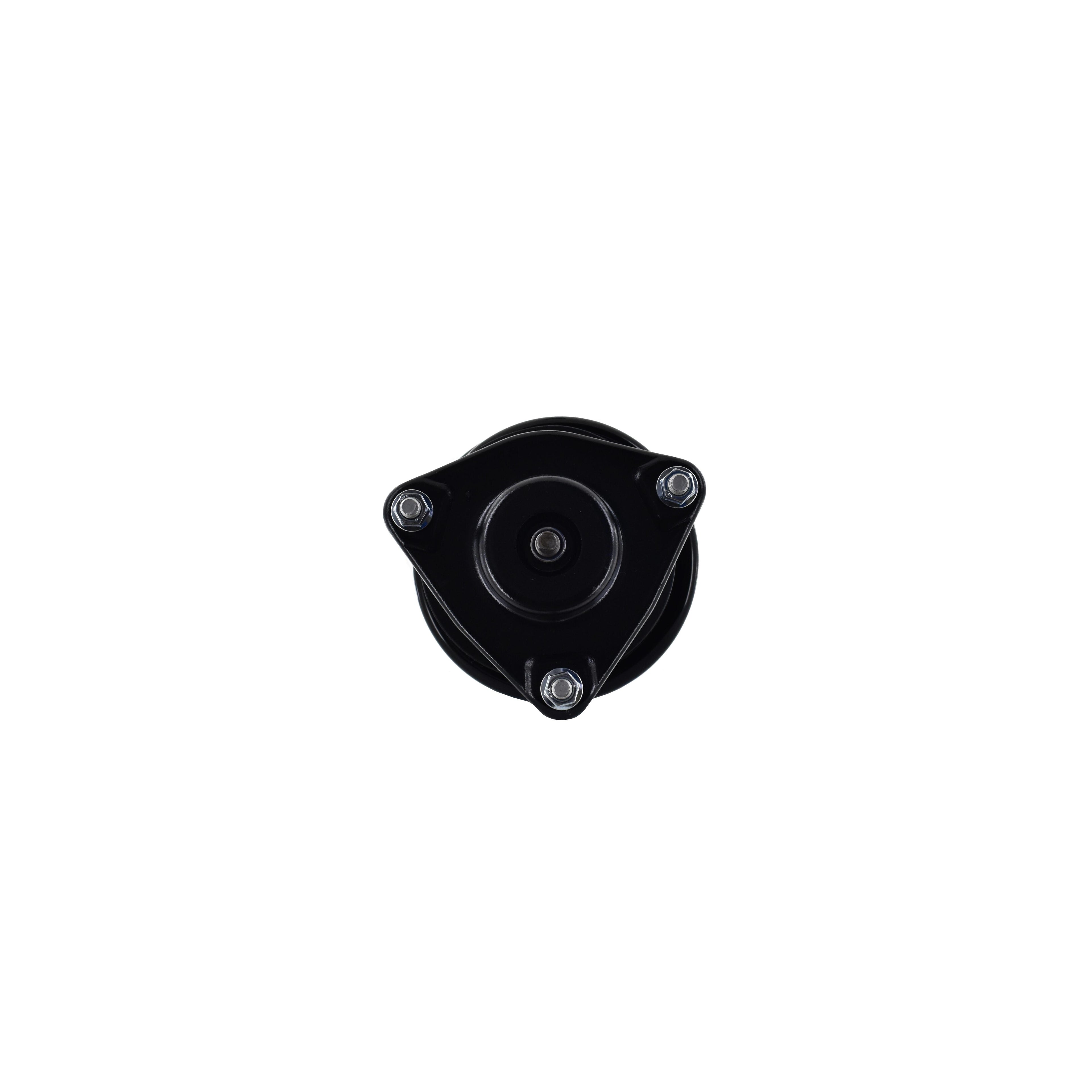 Suspension Strut and Coil Spring Assembly LS54-95561L