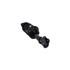 Suspension Strut and Coil Spring Assembly LS54-95561L