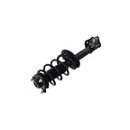 Suspension Strut and Coil Spring Assembly LS54-95561L