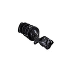 Suspension Strut and Coil Spring Assembly LS54-95571L
