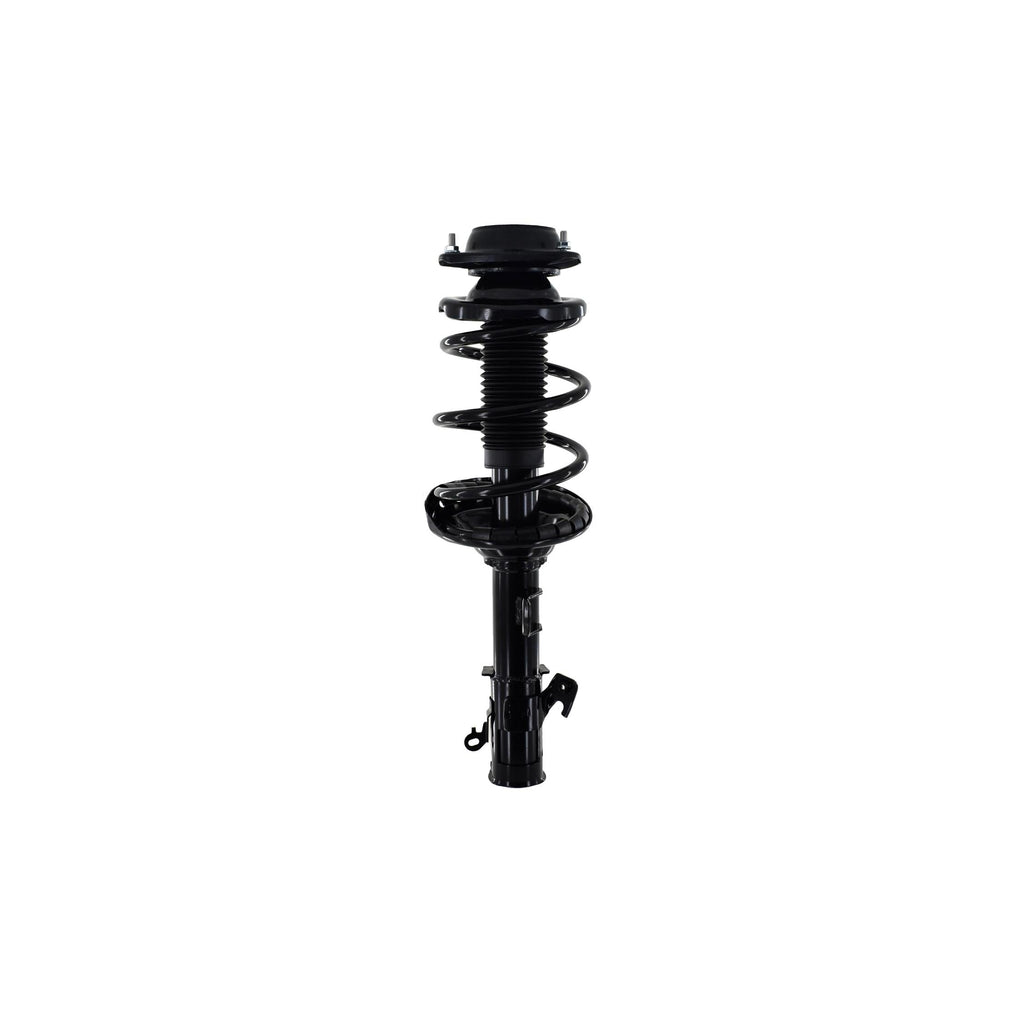Suspension Strut and Coil Spring Assembly LS54-95571R