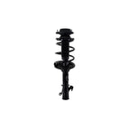 Suspension Strut and Coil Spring Assembly LS54-95571R