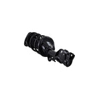Suspension Strut and Coil Spring Assembly LS54-95571R