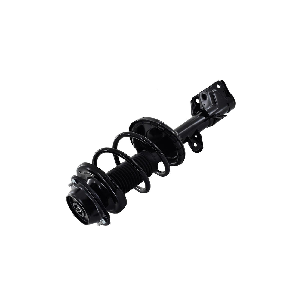Suspension Strut and Coil Spring Assembly LS54-95571R