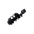 Suspension Strut and Coil Spring Assembly LS54-95571R