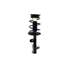 Suspension Strut and Coil Spring Assembly LS54-95581L