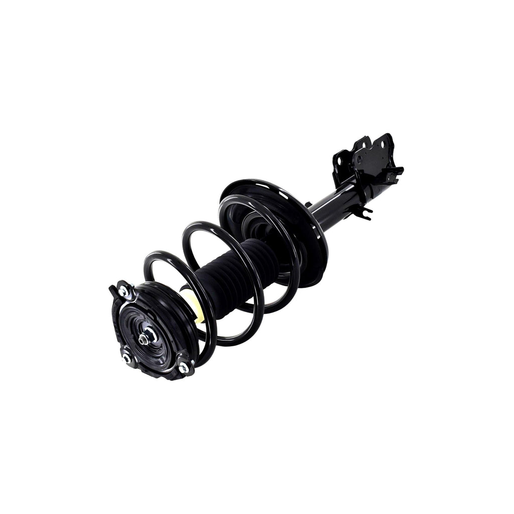 Suspension Strut and Coil Spring Assembly LS54-95581L