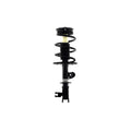 Loaded Strut and Coil Spring Assembly LS54-95621L