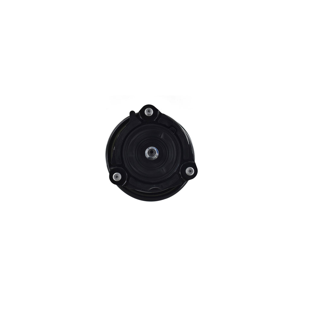Loaded Strut and Coil Spring Assembly LS54-95621L