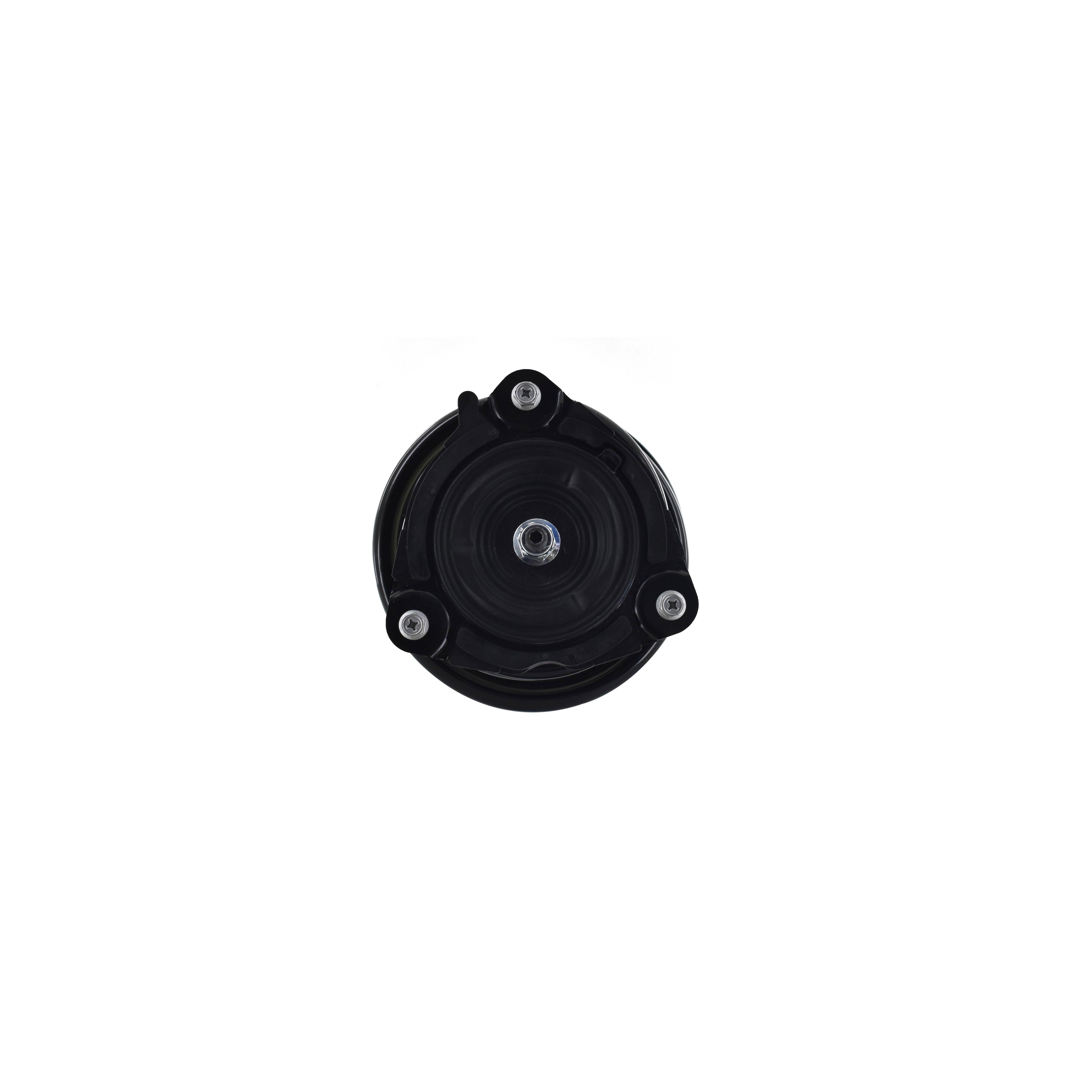 Loaded Strut and Coil Spring Assembly LS54-95621L