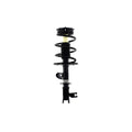 Loaded Strut and Coil Spring Assembly LS54-95621R