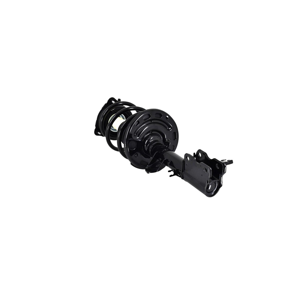 Loaded Strut and Coil Spring Assembly LS54-95621R