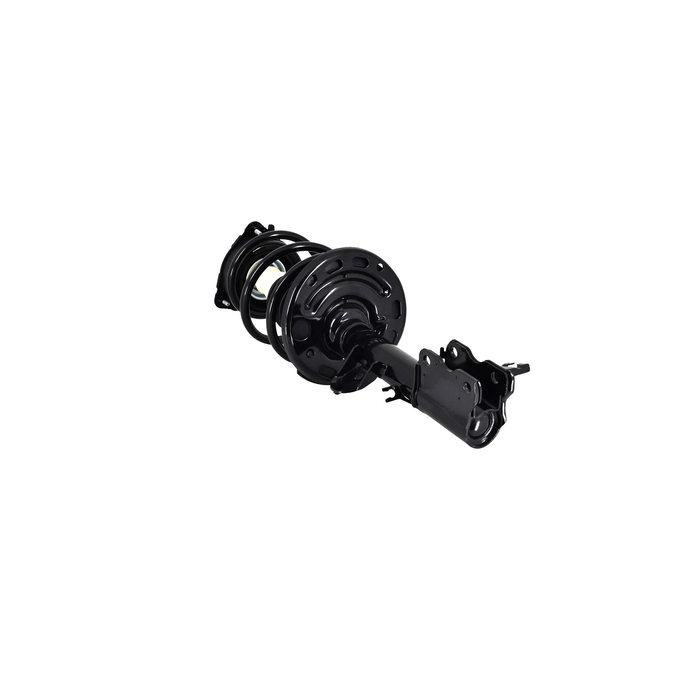 Loaded Strut and Coil Spring Assembly LS54-95621R