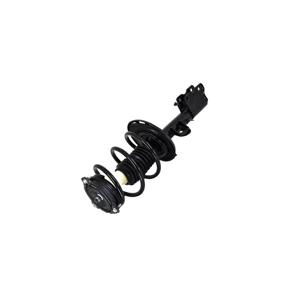 Loaded Strut and Coil Spring Assembly LS54-95621R