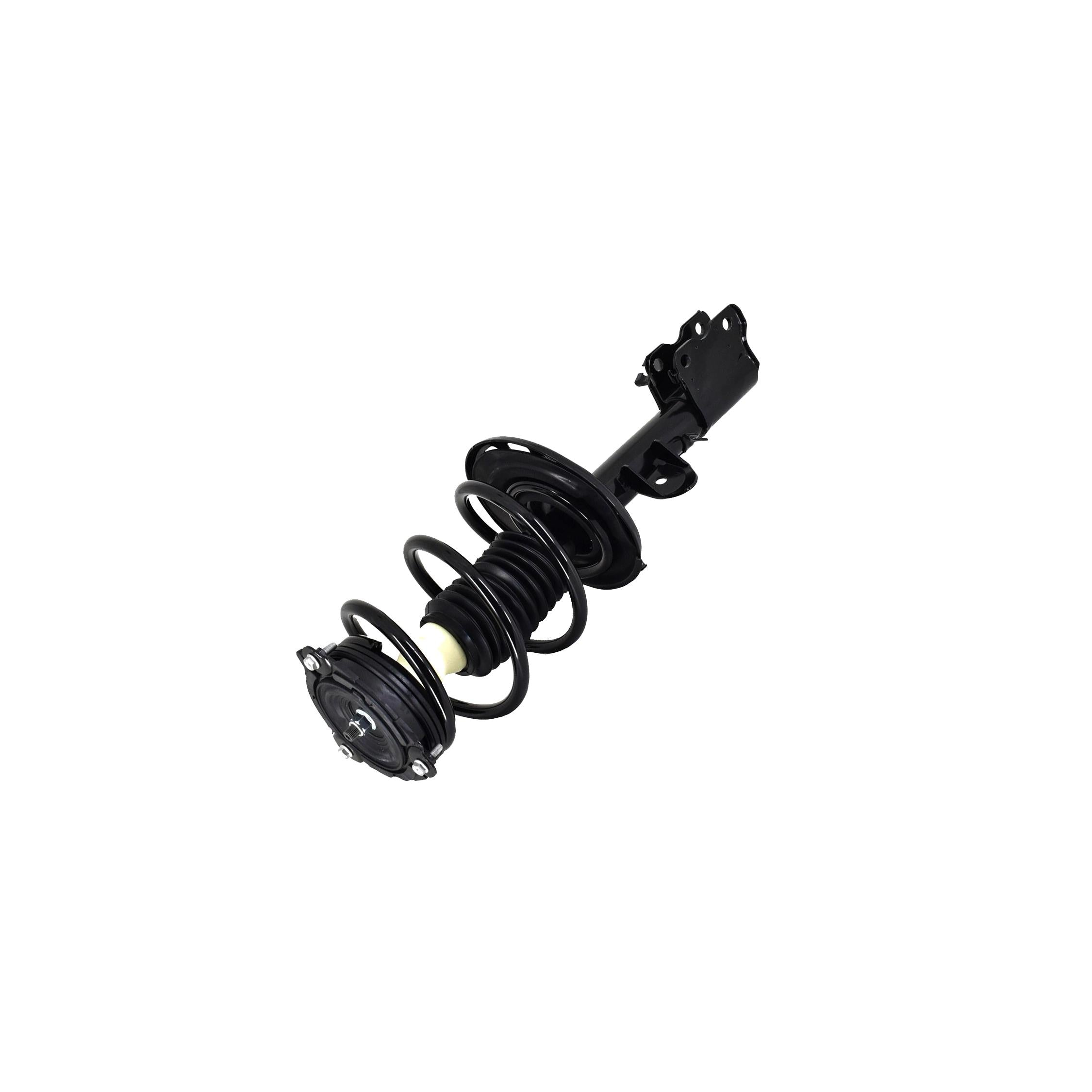 Loaded Strut and Coil Spring Assembly LS54-95621R