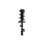 Suspension Strut and Coil Spring Assembly LS54-95631R