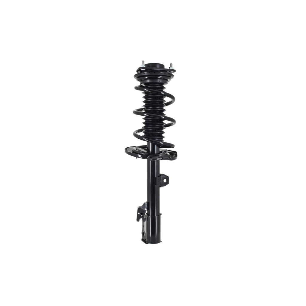 Suspension Strut and Coil Spring Assembly LS54-95631R