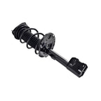 Suspension Strut and Coil Spring Assembly LS54-95631R