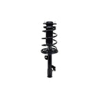 Suspension Strut and Coil Spring Assembly LS54-95641L