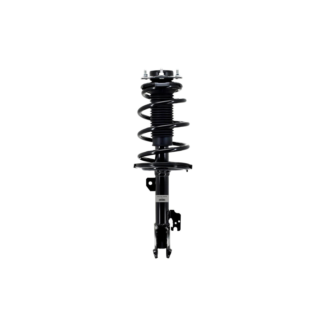 Suspension Strut and Coil Spring Assembly LS54-95641R