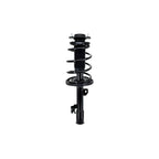 Suspension Strut and Coil Spring Assembly LS54-95641R